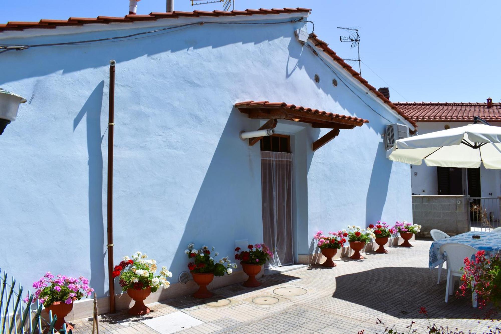 Villino La Perla Azzurra- Marina Di Pisa Villa Екстериор снимка